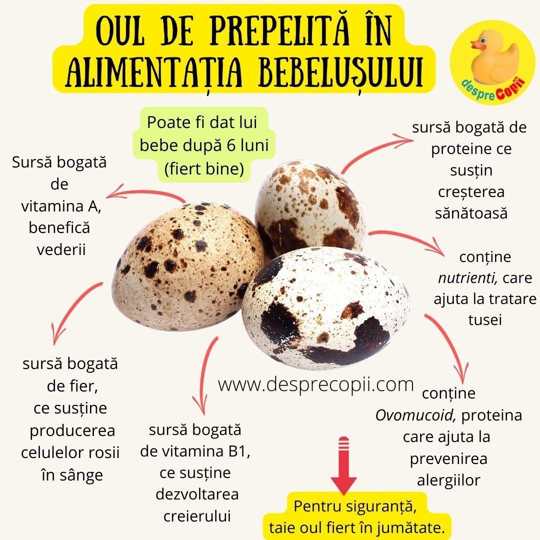 oua de prepelita la bebelusi